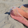 Strandtuch Jacquard Aus Baumwolle Rot Gelb Zweiseitig