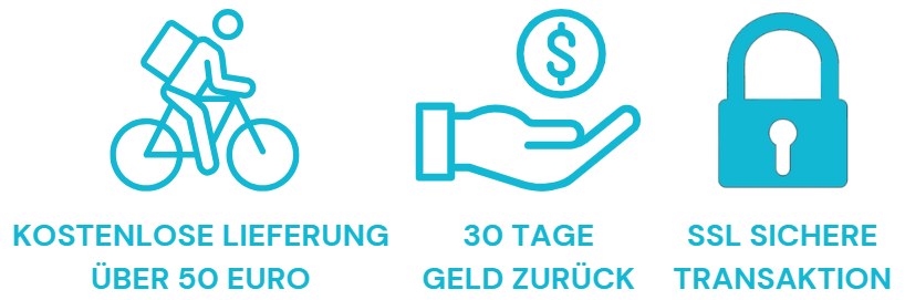 SSL Secure Transaction Online Shop white EN